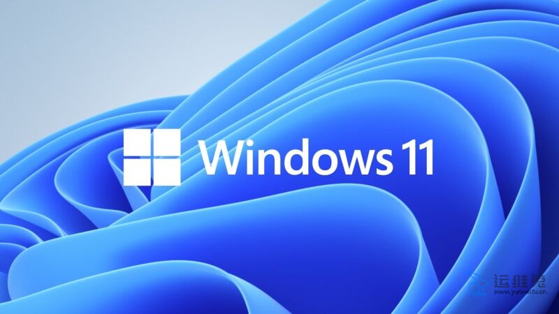 Windows 11家庭版和专业版区别有哪些,哪个版本好用?